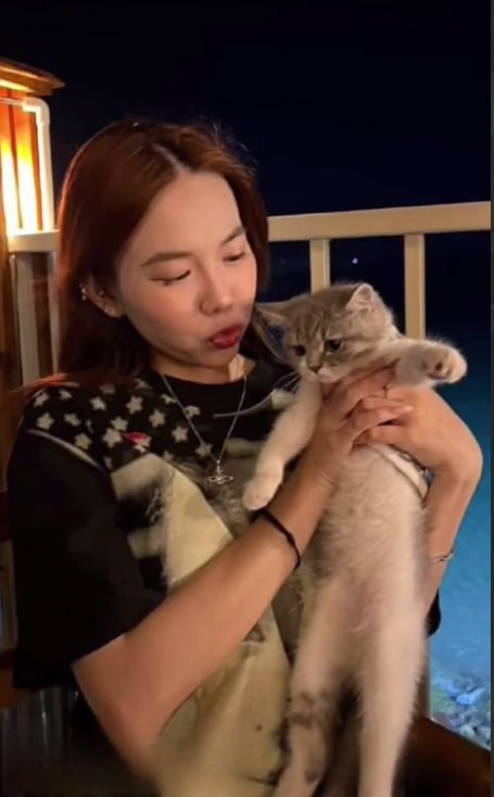 gái ngu thich bucu tài phiệt